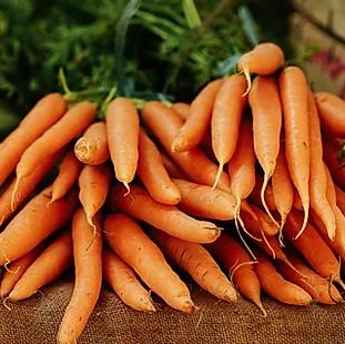carottes-aux-endives
